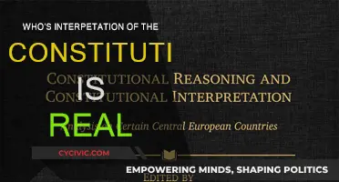 Whose Constitution? The Battle for America's Soul