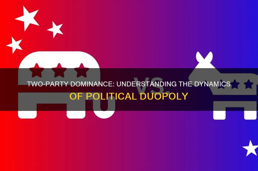 why 2 political parties