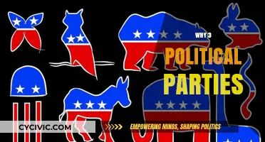 Beyond Bipartisanship: Exploring the Benefits of Three Political Parties