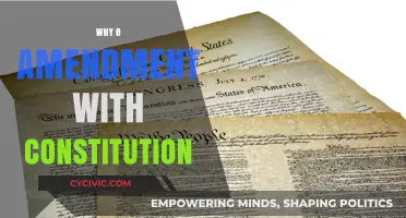 Constitutional Amendments: The 8th Amendment Explained