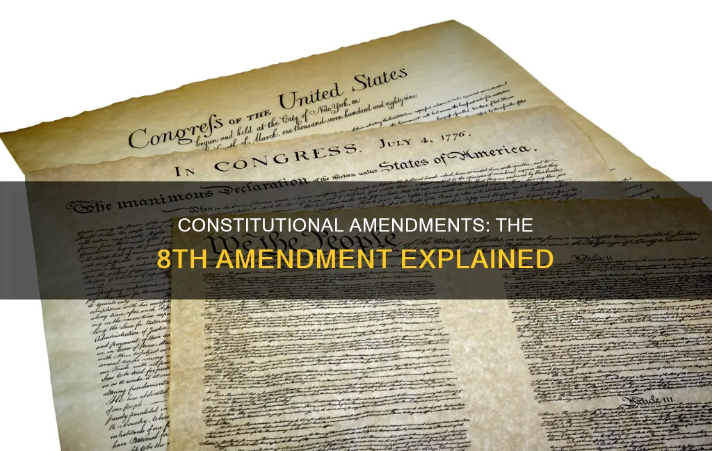 why 8 amendment with constitution