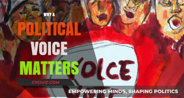 Amplifying Your Political Voice: Why It's Essential for Democracy