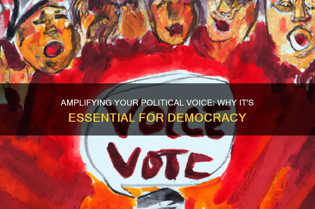 why a political voice matters