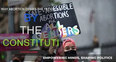 Abortion: Denying Fetal Life and Constitutional Rights