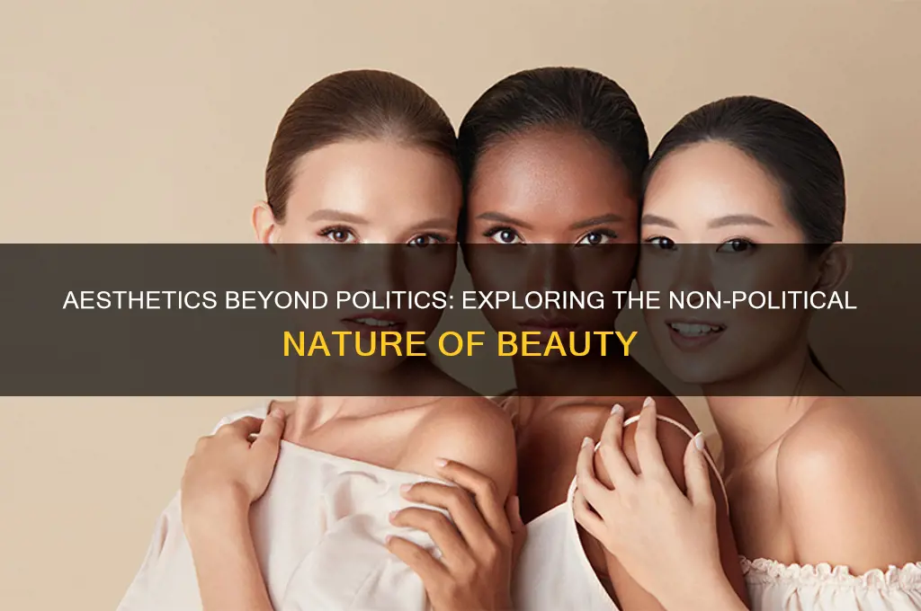 why aesthetics are not political