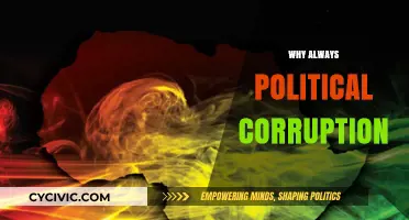 Why Political Corruption Persists: Unraveling the Roots of Systemic Decay