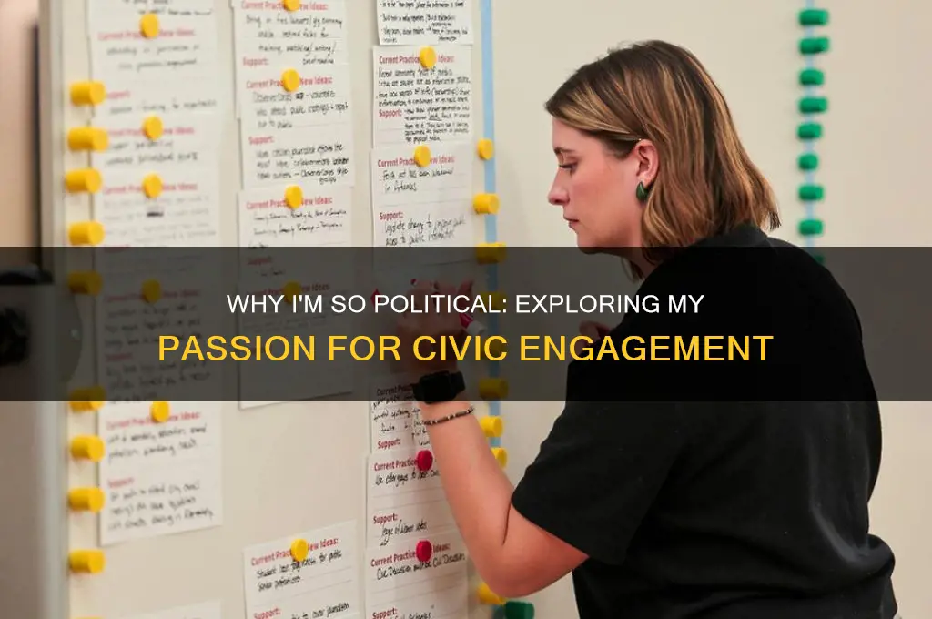 why am i so political