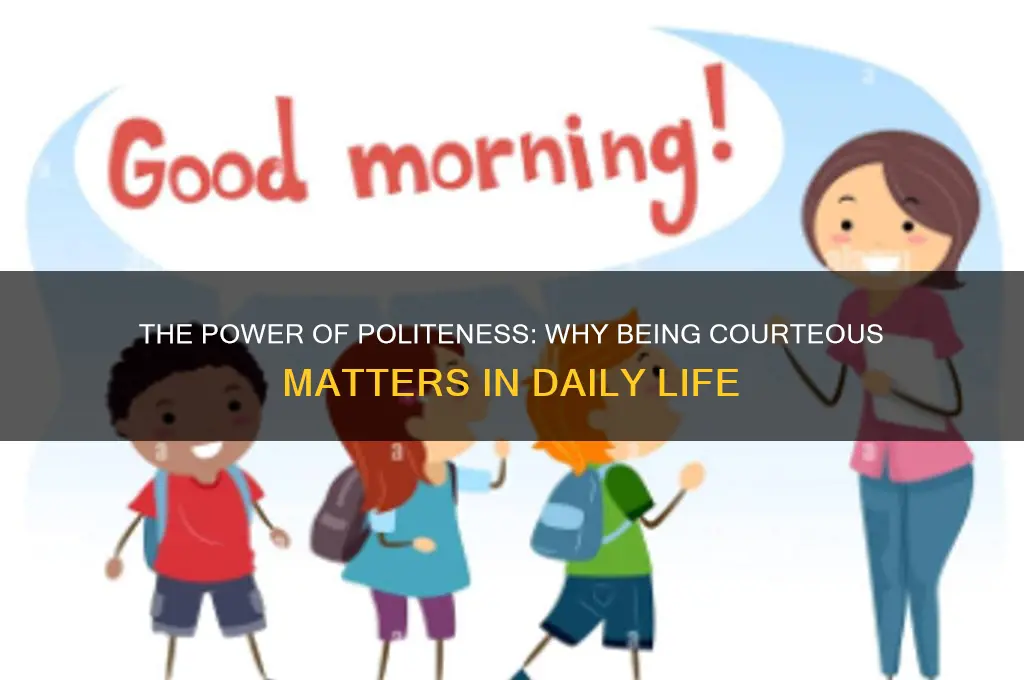 why am you so polite