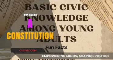 Amending Constitutions: Adapting to a Changing World