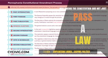 Constitutional Amendments: Why Bother?