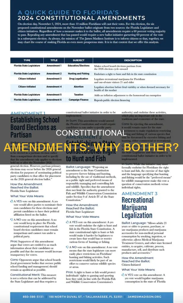 why amend the constitution and not just pass a law