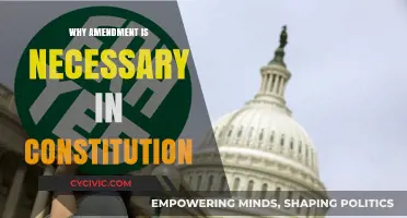 Amendments: A Living Constitution's Lifeblood