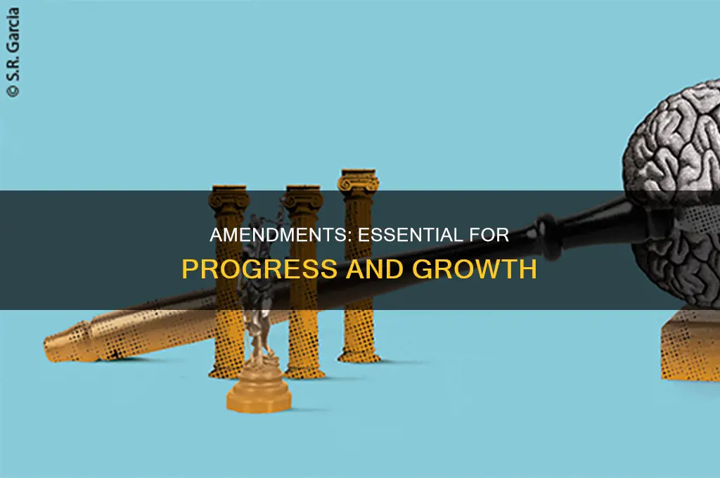 why amendments are important