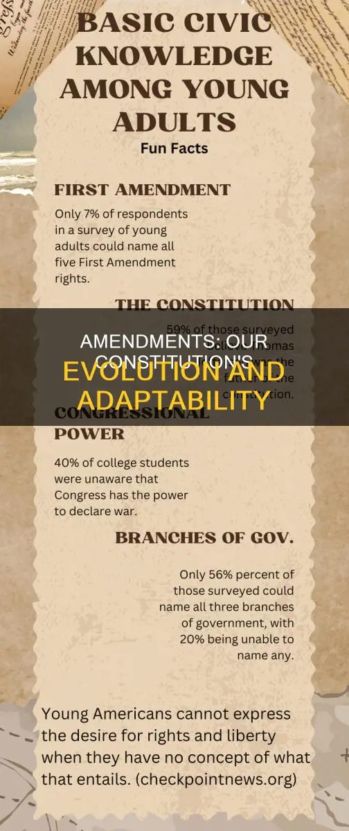 why amendments are made to the constitution
