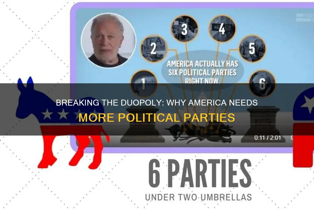 why america needs more political parties