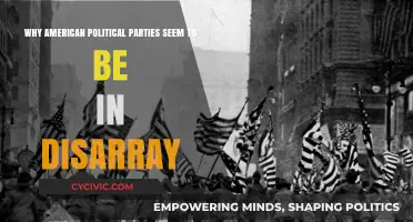 American Political Parties in Chaos: Causes and Consequences Explored