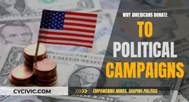 Political Donations: Why Americans Fund Campaigns