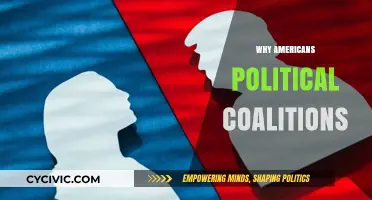Understanding the Dynamics of American Political Coalitions: Unity and Division