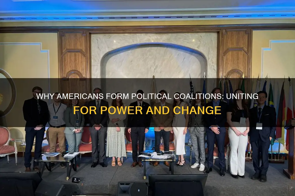 why americans politics colations