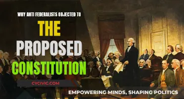 Anti-Federalists' Objections: The Constitution's Troubling Flaws
