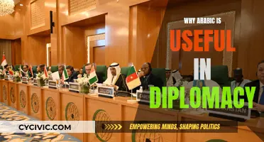 Arabic's Diplomatic Advantage: A Language of Influence and Opportunity