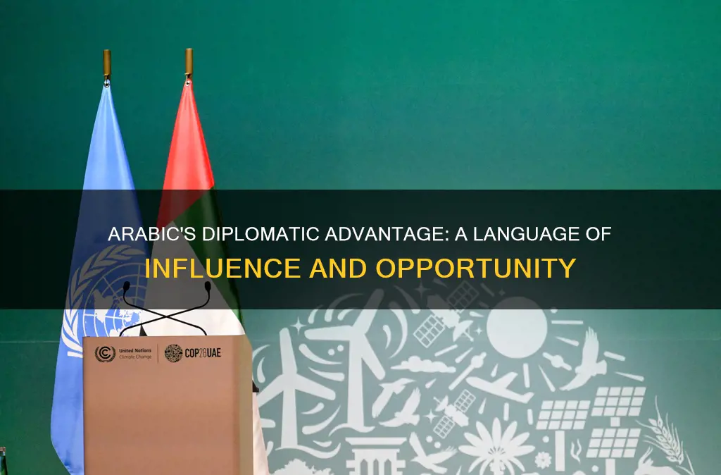 why arabic is useful in diplomacy