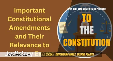 Amendments: The Constitution's Living, Breathing Evolution