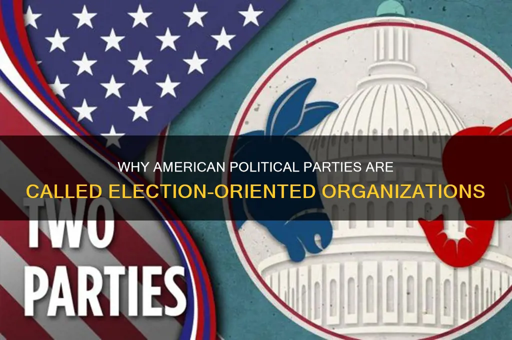 why are american political parties referred to as election oriented