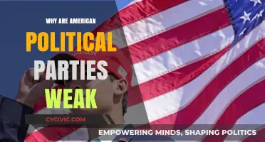Weak Foundations: Understanding the Fragility of American Political Parties