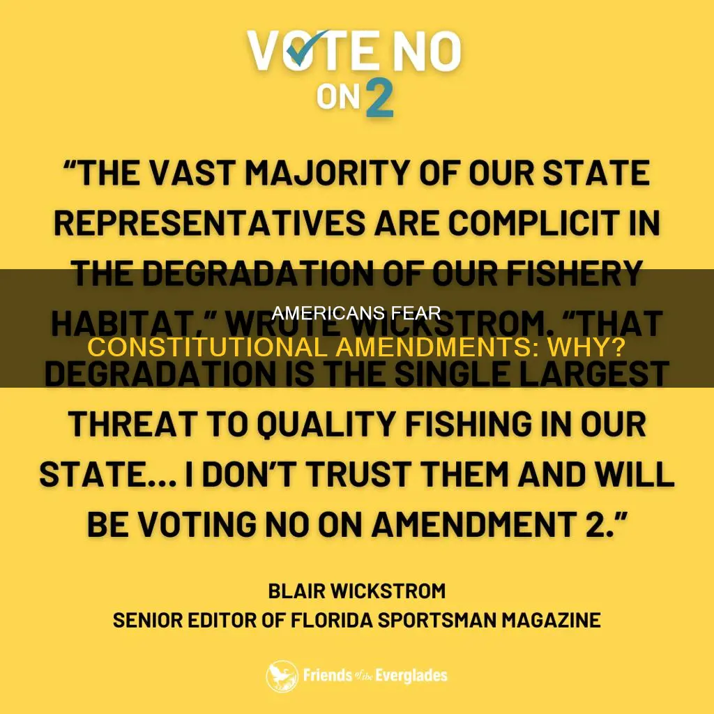 why are americans so opposed to constitutional amednments