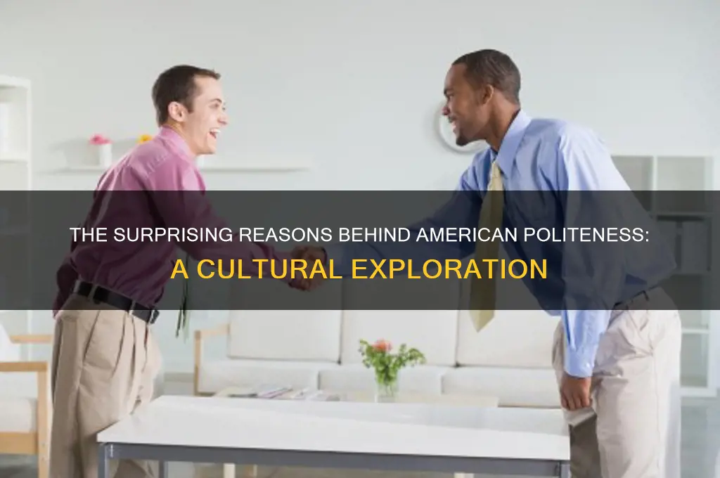 why are americans so polite