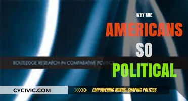 Why Are Americans So Politically Engaged? Exploring the Cultural Divide