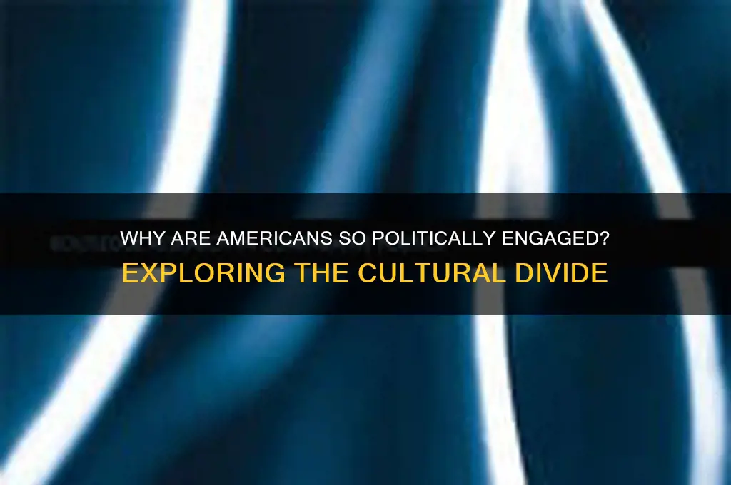 why are americans so political