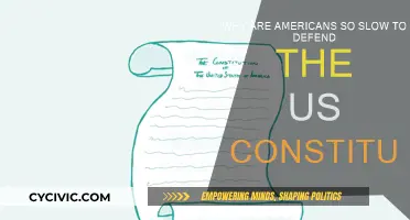 Defending the US Constitution: Why Are Americans Slow to Act?