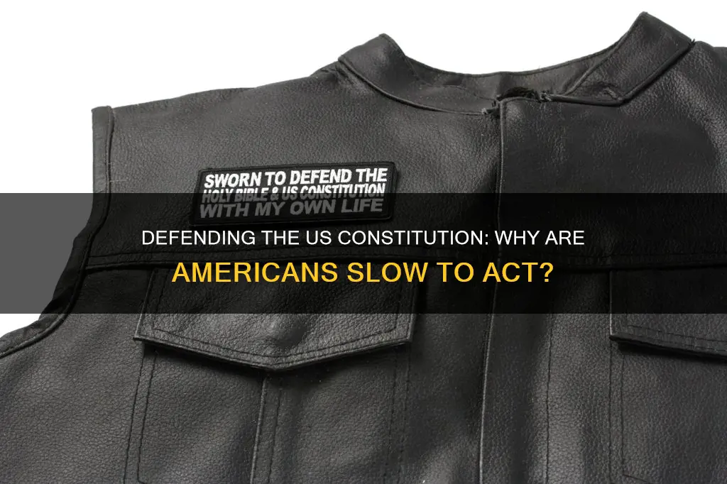 why are americans so slow to defend the us constitution