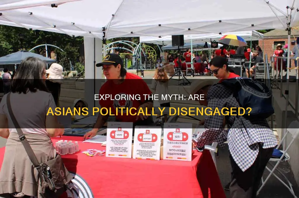 why are asians not political