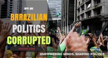 Unraveling Brazil's Political Corruption: Historical Roots and Modern Challenges
