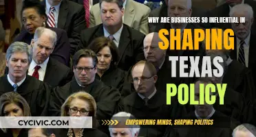 Texas Policy: Business Influence and Power Dynamics