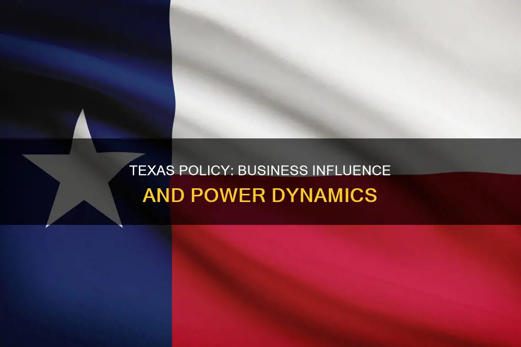 why are businesses so influential in shaping texas policy