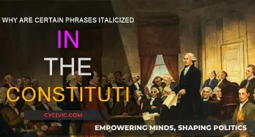 The Constitution's Emphasis: Why Italics?