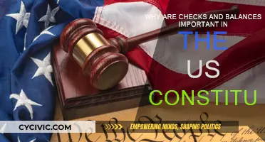 Checks and Balances: Guarding Against US Constitutional Abuses