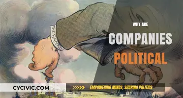 Why Companies Engage in Politics: Power, Influence, and Corporate Strategy
