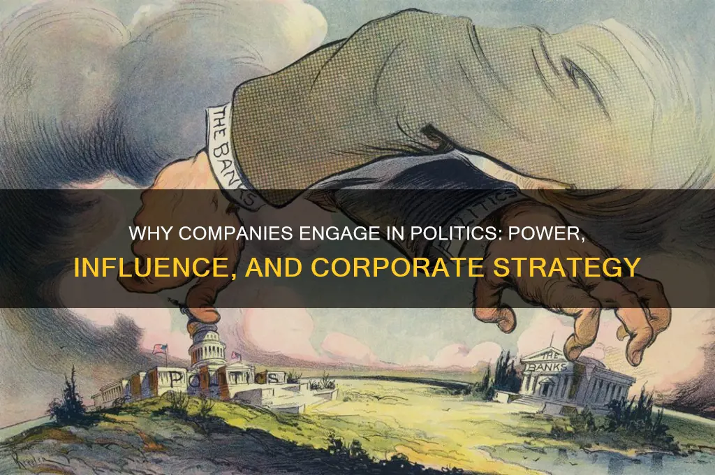 why are companies political
