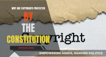 Copyright Protection: Constitutional Safeguards for Creative Rights