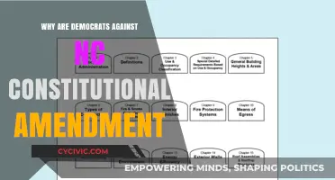 Democrats' Opposition to NC's Constitutional Amendment: Why?