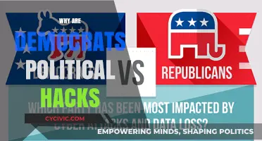 Democrats as Political Hacks: Uncovering the Partisan Tactics and Motives