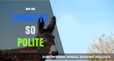 Understanding the Gentle Nature: Why Donkeys Exemplify Politeness and Kindness