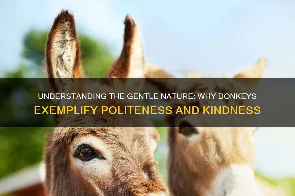 why are donkeys so polite