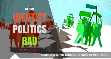 The Harmful Divide: How Identity Politics Undermines Unity and Progress