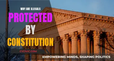 The Constitution's Protection of Illegals: Why?